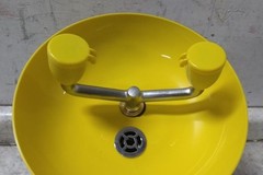Speakman SE-495 13 In Bowl Dia 4.6 Max GPM Plumbed Eyewash Station