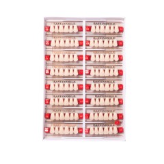 Dental Resin Teeth Synthetic Acrylic False Teeth Big Size Shape A1 A2 A3
