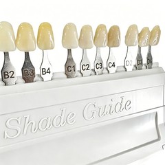 1/2 Set For VITA Classical Dental Shade Guide with Bleached Shades Clip New
