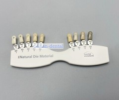 1X Dental IPS Natural Die Material Shade Guide Ivoclar Vivadent ND1-9 Abutment
