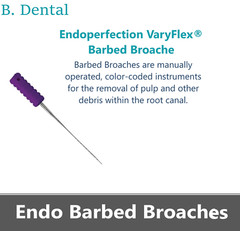 Dental Endo Barbed Broaches Endodontic Endoperfection – Color-Coded, 10/Pk USA