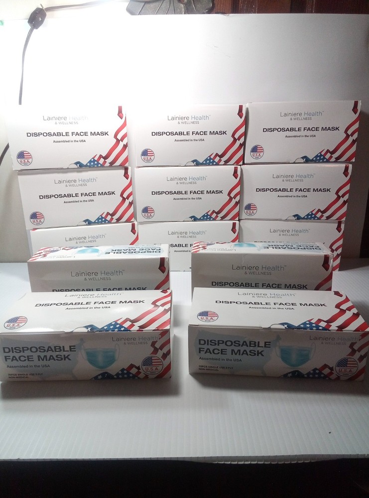 Disposable Face Mask Blue Health & Wellness 3-Ply Non-Medical 25pcs X Bx 14 Bxs