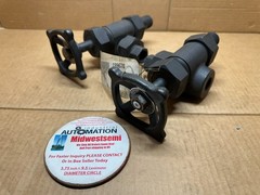 NEW SET OF 2 JERGUSON 147 CR-13 CARBON STEEL BALL CHECKVALVE 1/2IN NPT ID:147156