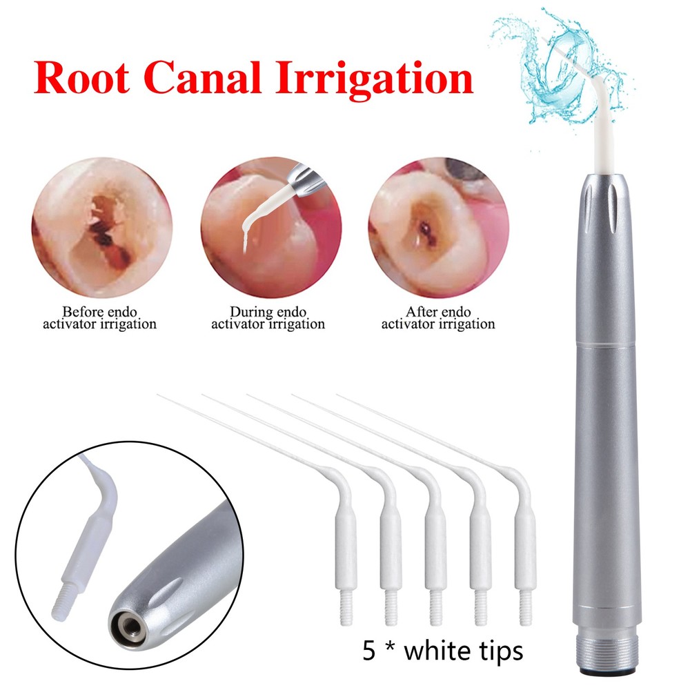 Dental Air Perio Scaler Handpiece Hygienist 2/4H / LED Ultrasonic Scaler fit EMS