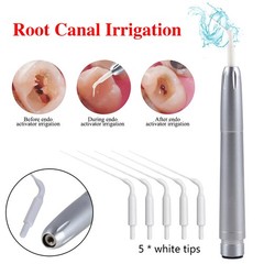 Dental Air Perio Scaler Handpiece Hygienist 2/4H / LED Ultrasonic Scaler fit EMS