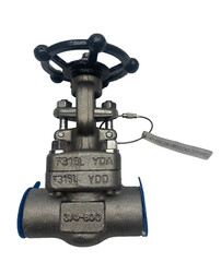 Warren 801-16-T-624 Stainless Steel Gate Valve 3/4″ CL800, F316L