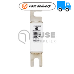 1PC New Eaton Bussmann Series High Speed Square Body Fuse 160A 690V 170M1319