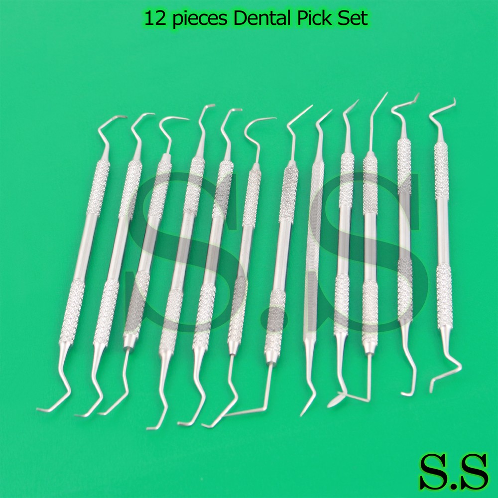 12 PIECE STAINLESS STEEL DENTAL PICK SET – EXCELLENT QUALITY BRAND NEW PR-0089