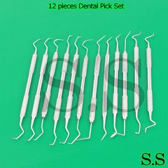 12 PIECE STAINLESS STEEL DENTAL PICK SET – EXCELLENT QUALITY BRAND NEW PR-0089