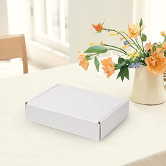 9X6X2 Inches Shipping Boxes Set of 25, White Corrugated Cardboard Box Literature