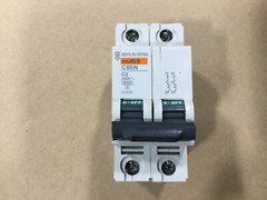 Merlin Gerin C60N C2 Circuit Breaker 2A 2 Pole C60N 2P/24332 #24T11