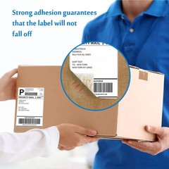 40 Rolls 4″ x 6″ 250 Direct Thermal Shipping Labels For Zebra 2844 ZP450 Eltron