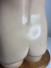 Denoyer-Geppert Body Torso Anatomical Model See Description