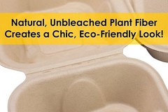 [100 Pack] Compostable Take Out Food Containers 6×6 To Go Boxes by Avant Grub