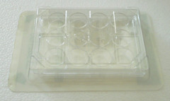 CellTreat Scientific Lot of 10 22911 Sterile Polystyrene 12 Well Plates New