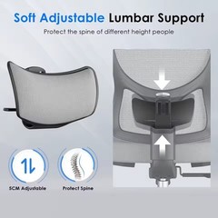 Ergonomic Mesh Office/Desk Chair w/ Adjustable Headrest & Lumbar, Gray/Black