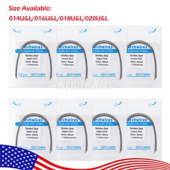 Dental Ortho Stainless Steel/NIti Super Elastic Arch Wires Round Ovoid Natural