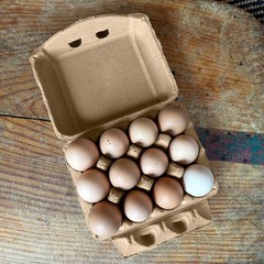 Ruralty Recycled Cardboard Egg Cartons 200ct Dozen 4×3 Vintage Bulk Egg Cartons