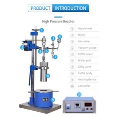 220 Bar High Pressure Reactor Lab Autoclave Vessel with Heating Stirring Lift