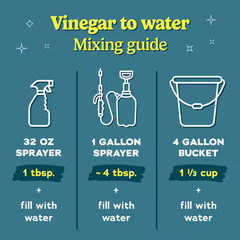 1 Gal. 30% Cleaning Vinegar All Purpose Cleaner Concentrate
