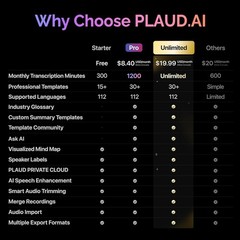 Professional AI Voice Recorder: 30-Hour Battery, 480-Hour Storage, Case Included