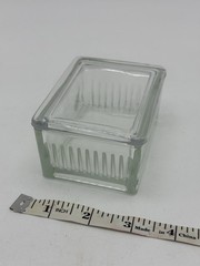 Vtg T.C. W. Co Glass Slide Staining Dish/Box w/Lid Holds 10 Horizontal Slides