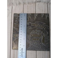 Vintage 1976 Bicentennial Political Cartoon Printing Plate Uncle Sam Pollution