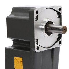 AC Gear Motor Speed Reduction Ratio 1:30 High Torque Speed Reduction Motor 45RPM