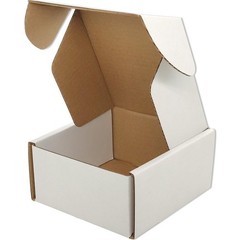 100 Pack 4x4x2 Inch White Corrugated Cardboard Small Shipping Mailer Box
