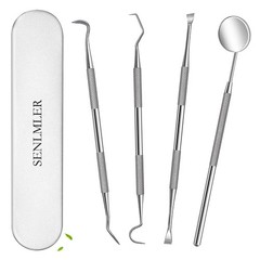 4 Pcs Dental Tools Professional Dental Picks for Teeth Cleaning Plaque Remover
