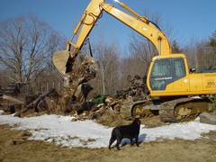 Excavator Thumb, 18″ x 50″ Fits Most Machines 24,000 – 39,000 LBS – AR400 STEEL