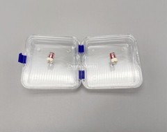 10 Pcs Denture False Teeth Membrane Case Container Hinged Display Box Jewelry