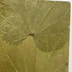 Handmade Costa Rica Journal Large 14×11¾ Butterfly Leaf Cover Eco Artisan Book