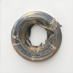 1 in. x 100 ft. Blue PEX-A Expansion Pipe in Solid