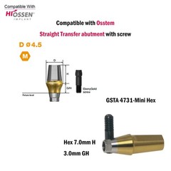 Dental Titanium Straight Abutment Ti Cemented Abutment Fits to Osstem Hiossen TS
