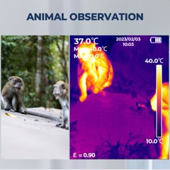 TOPDON TC001 Thermal Camera for Android (USB Type C) 256×192 IR High Resolution