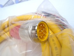 TURCK – RSM 106-4M/S1055 – 4M(13ft) – 600V – 1-1/8″ Male 10-Pin to Bare Wire NEW