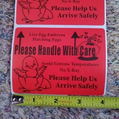 200 Large 4″ x 3″ Handle with care Hatching Eggs Mailing Shipping Label sticker