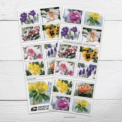 United States Postal Service Usps Snowy Beauty 5 Booklets Of 20 100 Postage