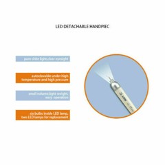 Dental Ultrasonido Ultra Endo Activador Irrigador Titanium /LED Endo Motor 16:1