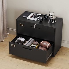 Metal Lateral File Cabinet 2 Drawer,Office Home Locking Filing Cabinet Organizer