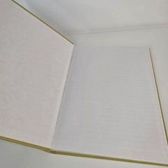 Vintage Federal Supply Service Record Book Set Of 2 Green Cloth Ruled Paper