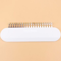 Ivoclar Vivadent Dental Teeth Shade Guide A-D 20 Colors Porcelain Color Chart