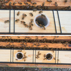 Bee Hive Frame Feeder 2 Pack 6.5L Beehive Feeder Deep Box Beekeeping