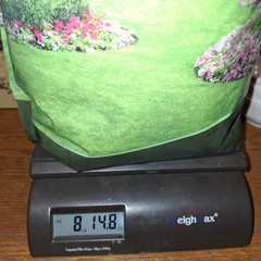 Outsidepride Oasis Bermuda Grass Seed – 8+ lbs Warm Season High 8 pounds 4/26