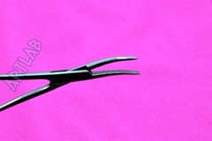 6 PC MOSQUITO HEMOSTAT FORCEPS 5.5″ CURVED STAINLESS STEEL SURGICAL MEDICAL