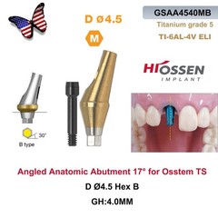 US 17° Angulated & Straight Transfer Abutment Fit Osstem/Hiossen Hex Titanium