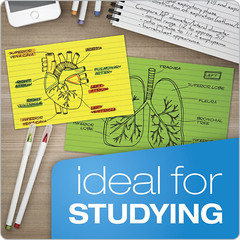 Oxford Neon Index Cards, 3″ X 5″, Ruled, Assorted Colors, 100 per Pack (40279)