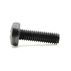 Stainless Screws for Toyota RAV4 License Plates (Set of 4, Black, Rear)