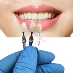 Vita Classical Shade Guide Dental Materials A1-D4 16 Colors Teeth Whitening USA